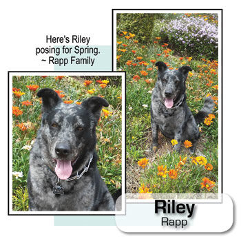 Riley Rapp